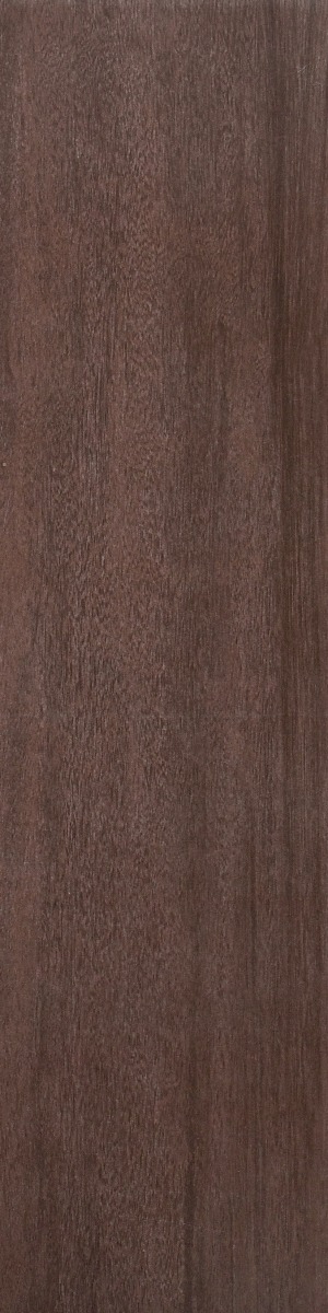 Matte Finish Plank Teak Wenge  Forever tile 145x600 mm