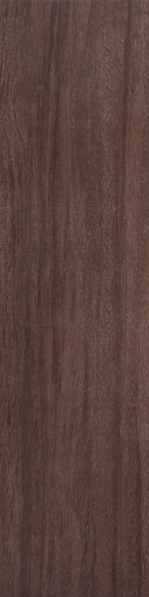 Matte Finish Plank Teak Wenge  Forever tile 145x600 mm