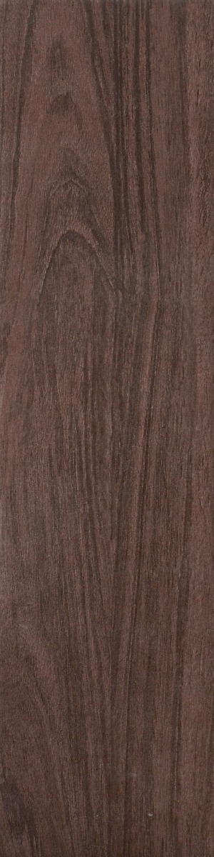 Matte Finish Plank Teak Wenge  Forever tile 145x600 mm
