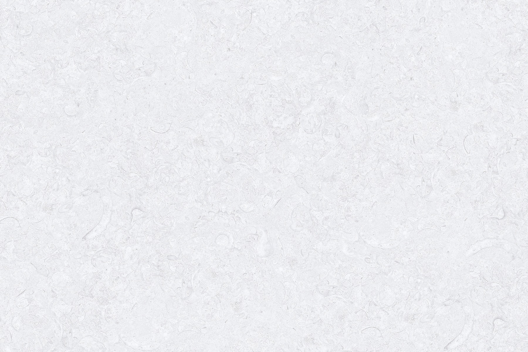 Glossy Finish SBG Tundra Grey LT Ceramic tile 300x450 mm