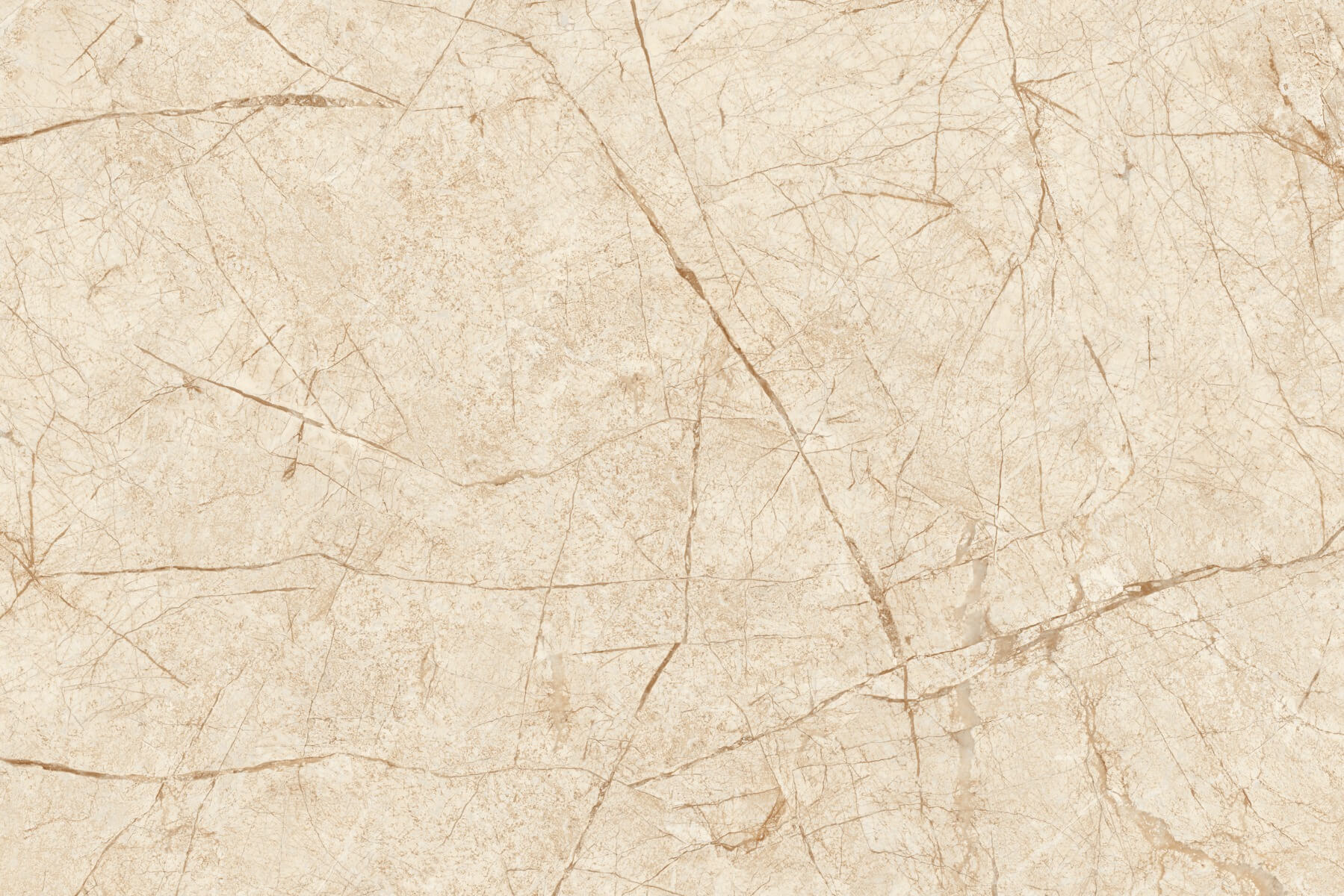 Glossy Finish SDG Hibiscus Brown DK Ceramic tile 300x450 mm