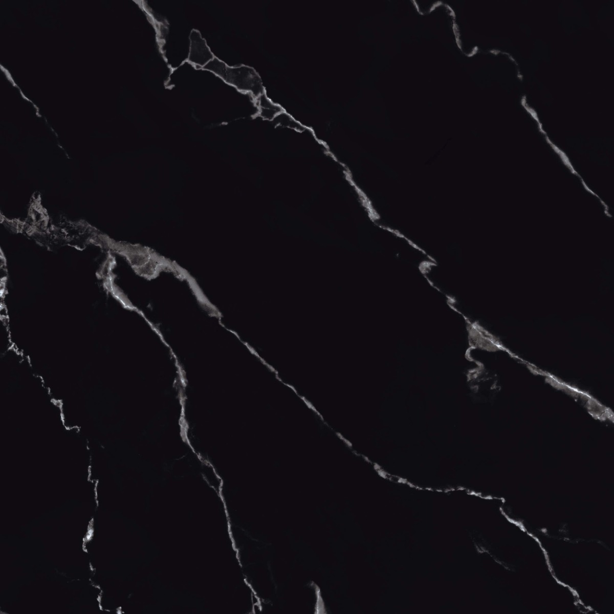 Super Glossy Finish Super Gloss Belgium Black Marble Glazed Vitrified Tiles 600x600 mm
