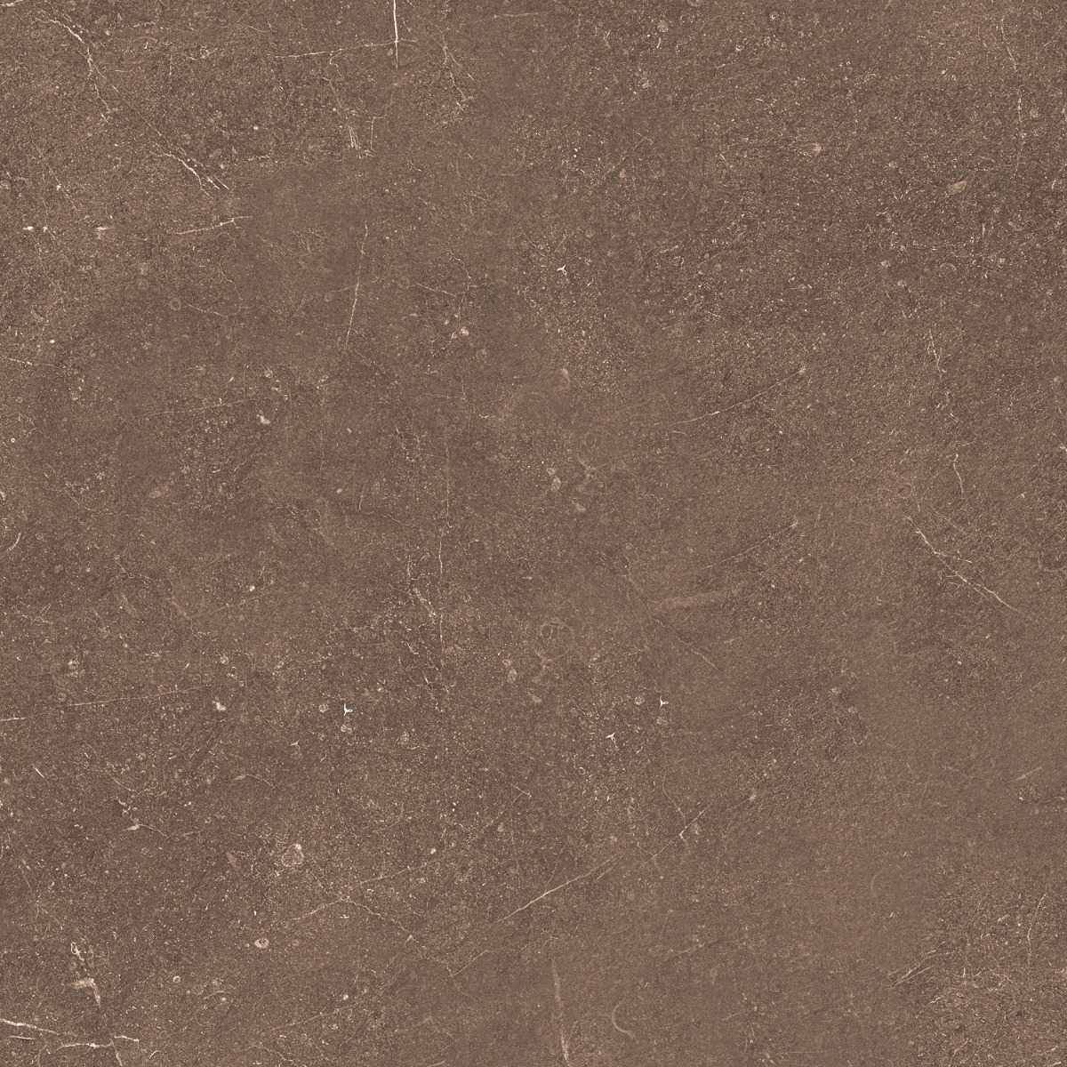 Matte Finish TL Brown Earthen Ceramic tile 400x400 mm